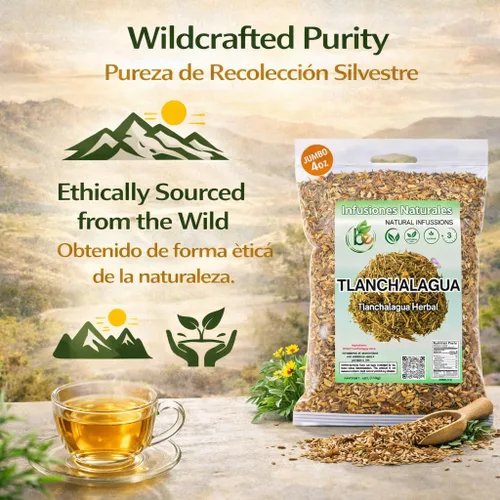 Vista 7 de Té de hierbas Tlanchalagua – 4 oz (113 g) – Hierba tradicional mexicana – Infusión de hojas sueltas silvestre – 100% natural, vegano, sin OMG – por