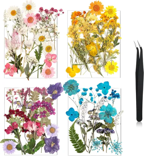 Vista 11 de Nuanchu Flores secas prensadas negras para manualidades, flores secas góticas, flores silvestres prensadas naturales a granel con pinzas para molde