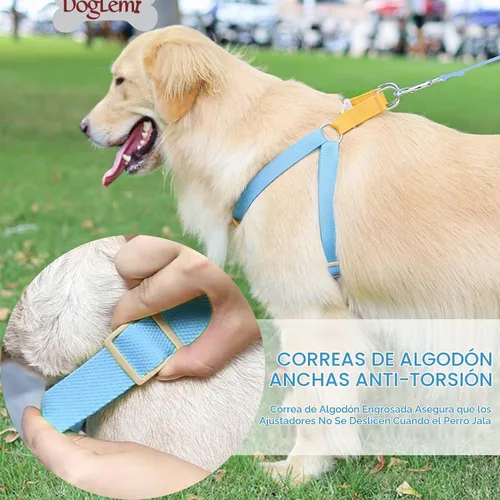 Vista 8 de Juego de arnés y correa para perro sin tirones, collar de perro, arnés halter para perro con soporte para bolsa de excrementos, correas ajustables
