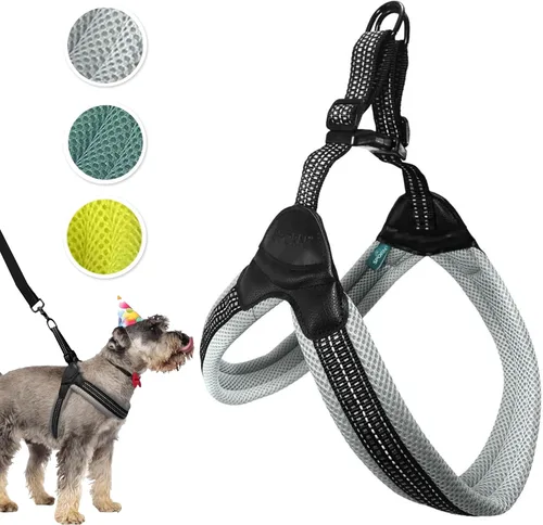 Vista 10 de Sporn Arnés de malla de fácil ajuste para perro de tamaño pequeño, color turquesa, tela suave, de nailon, sin estrangulamiento, arnés para perro