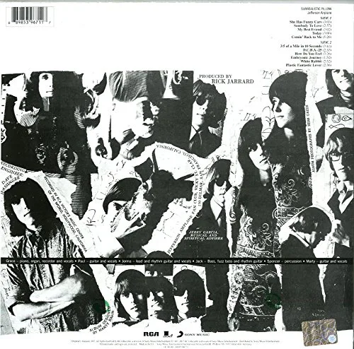 Vista 2 de Surrealistic Pillow