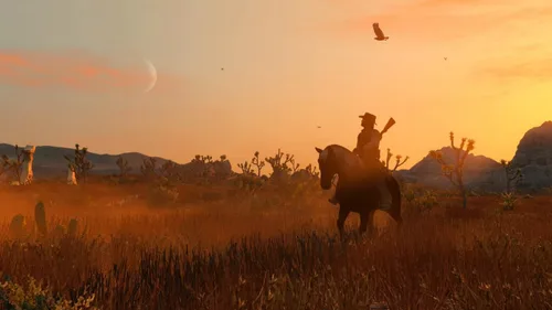 Vista 2 de Red Dead Redemption