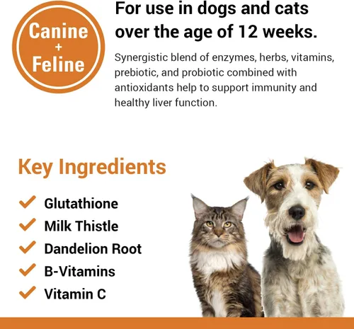 Vista 5 de Vet Classics Suplemento para la salud de las mascotas para perros y gatos – Funciones hepáticas – Vitaminas B, glutatión, cardo mariano, tabletas