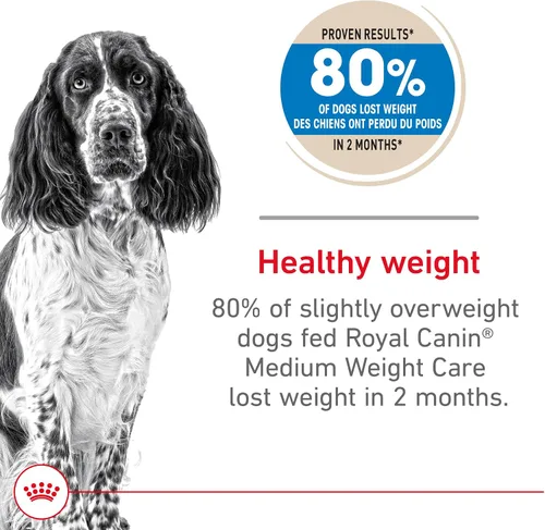 Vista 2 de Royal Canin Alimento seco para perros adultos para razas medianas, bolsa de 17 libras Para perros medianos con sobrepeso, pérdida