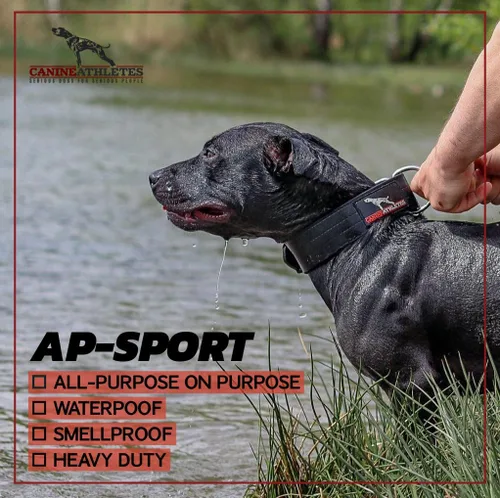 Vista 3 de Canine Athletes Collar para perro de trabajo de doble capa impermeable AP-Sport de 2 pulgadas (tamaño pequeño)
