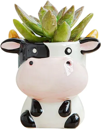 Vista 4 de DIYOMR Bonita maceta de cerámica de animales, maceta pequeña para suculentas, maceta con forma de dibujos animados para plantas pequeñas, cactus