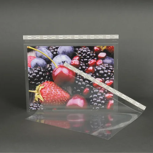 Vista 9 de EnvyPak 9 x 12 Clear Booklet Envelopes, 4.5 Mil Heavy Duty Polypropylene, Peel & Reseal Adhesive, USPS Approved Materials, Crystal Clear Catalog