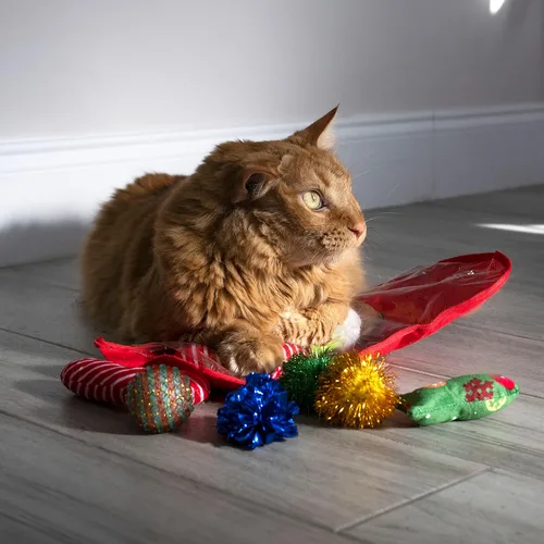 Vista 8 de Midlee Juego de regalo de juguete para gatos con calcetines navideños (14 juguetes) - Bastones de caramelo, campanas, ratones y gatitos