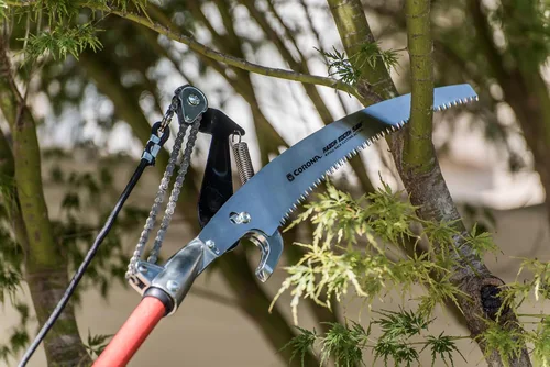 Vista 2 de Corona TP 6870 MAX RazorTOOTH DualCOMPOUND Action 14-ft. Tree Pruner