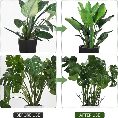 Vista 6 de Paquete de 5 soportes apilables para plantas Monstera, nuevas estacas para plantas 2025 para uso en plantas de interior y exterior, estacas