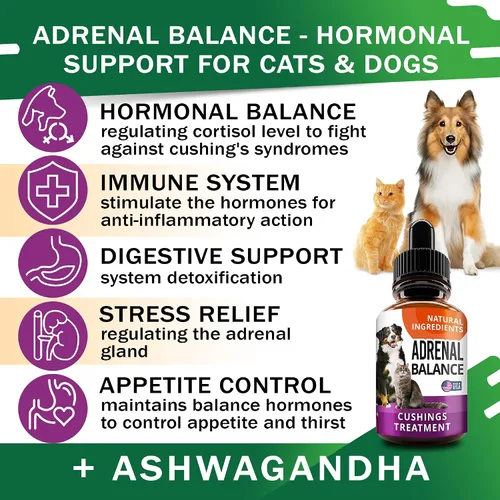 Vista 2 de Equilibrio suprarrenal para perros y gatos - Tratamiento de Cushings para mascotas, soporte suprarrenal con Ashwagandha, raíz de regaliz, Rhodiola