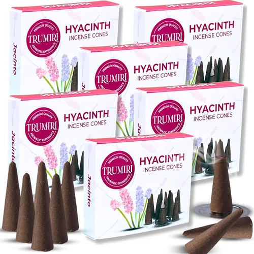Vista 53 de TRUMIRI Incienso ámbar – Paquete de 20 conos (2 x 10) – Incienso de cono perfumado
