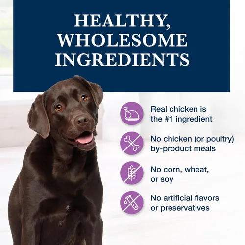 Vista 6 de Blue Buffalo Natural Veterinary Diet W+U - Alimento seco de pollo para Fórmula de control de peso y cuidado urinario, ingrediente #1 de pollo real