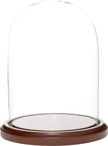 Vista 3 de Plymor Cúpula de cristal de 5.5 x 8 pulgadas (base de madera MDF negra)