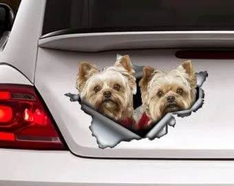 Vista 5 de Calcomanía roja de perro salchicha de pelo largo, calcomanía para mascotas, calcomanía de perro salchicha rojo, calcomanía de vinilo para perro
