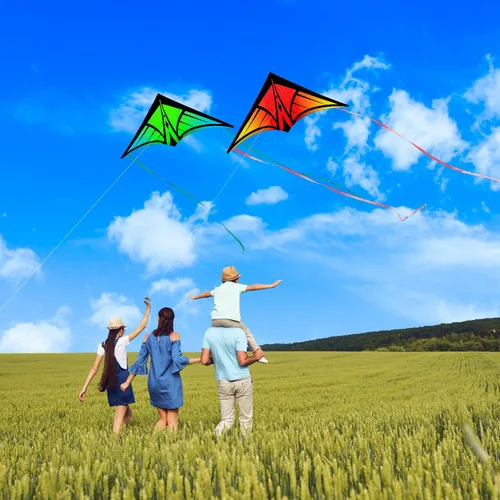 Vista 5 de Cometa Delta grande para niños y adultos, cometas al aire libre fáciles de volar para niños de 8 a 10 años, perfecta para actividades en la playa