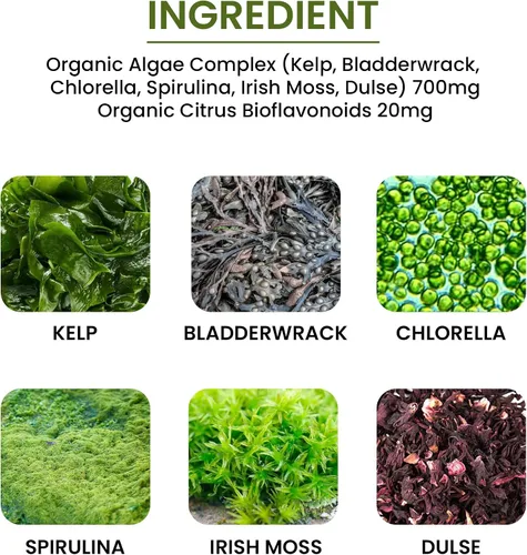 Vista 4 de Algas, Fucoidan, Algas Verde Azul, Algas Kelp, Vejiga, Clorella, Espirulina, Musgo Irlandés, Dulse, 90 VCaps, Alta Absorbibilidad, Sin OGM, Sin