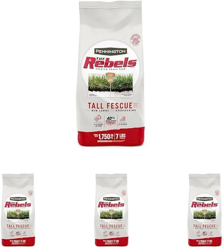 Vista 16 de Pennington The Rebels mezcla de semillas de césped Tall Fescue, 3 libras
