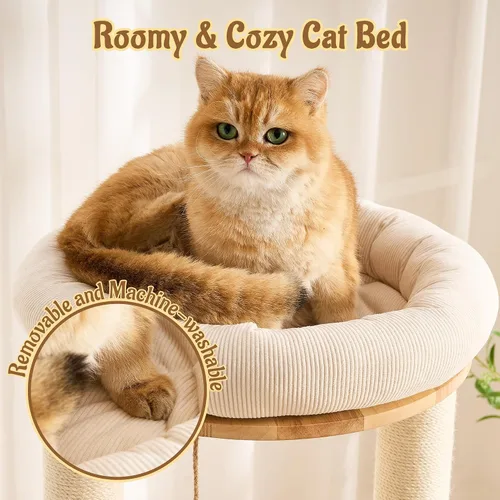 Vista 2 de Moderno árbol de madera maciza para gatos de interior de hasta 15 libras, torre para gatos de 49 pulgadas de alto con postes rascadores y rascador