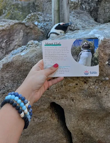 Vista 6 de Fahlo Pulsera de seguimiento de pingüinos elástica compatible con la Sociedad Global de Pingüinos talla única para hombres y mujeres Piedra Sin gemas