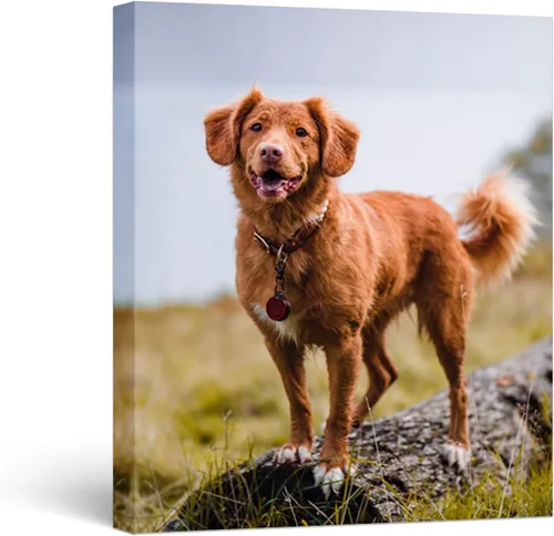 Vista 8 de WEGA Impresiones en lienzo personalizadas con tus fotos (6 pulgadas de ancho x 8 pulgadas de alto) lienzo personalizado para dormitorio, sala