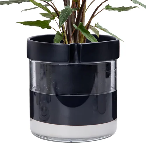 Vista 32 de Phoenix Vine Maceta de riego automático de 4 pulgadas, maceta de arcilla de terracota con depósito de vidrio para plantas de interior, hierbas