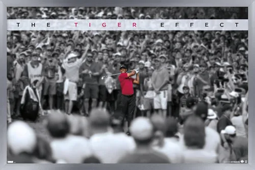 Vista 11 de Trends International Tiger Woods - Póster de pared con efecto tigre, 14.725 x 22.375 pulgadas, versión enmarcada de madera de granero Versión