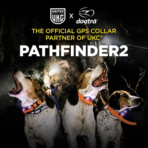 Vista 7 de Dogtra PATHFINDER 2 MINI Receptor adicional Perro GPS Tracker e Collar Luz LED Verde Sin tarifas mensuales Aplicación gratuita Impermeable