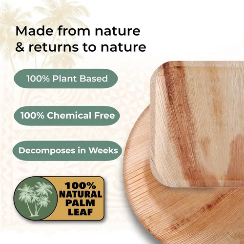 Vista 8 de Indie Palm Platos desechables de hoja de palma, paquete de 50 unidades, cuadrados de 8 pulgadas, resistentes, 100% compostables y biodegradables