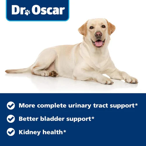 Vista 6 de Tratamiento de infecciones urinarias para perros, tratamiento más completo de infección del tracto urinario. Medicina de la infección urinaria más
