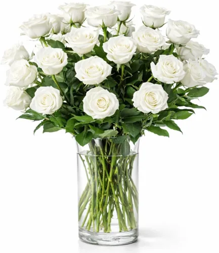 Vista 11 de BloomsyBox - Rosas Bicolor - 24 tallos largos, de larga duración, atadas a mano en envases ecológicos, jarrón no incluido, flores frescas