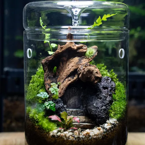 Vista 5 de Piedra de lava volcánica natural de 1 a 2.5 pulgadas para jardines en miniatura y de hadas, acuarios de paisajismo acuático, uso en hogueras