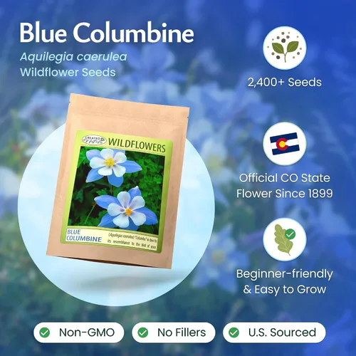 Vista 3 de Semillas de Columbina Azul, Aquilegia caerulea, Perenne, 2,400 Semillas, 45 pies cuadrados Pollinator-friendly Blue Columbine seeds attract bees