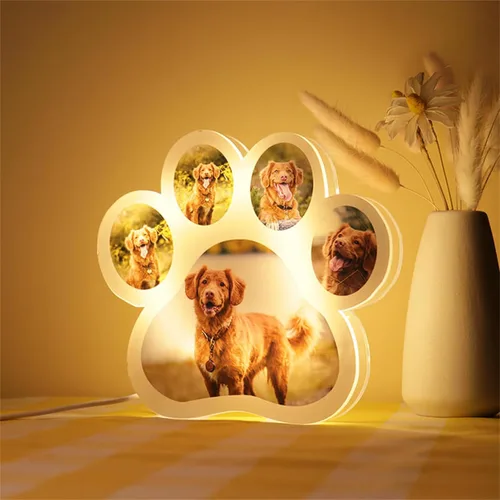 Vista 9 de Luz nocturna acrílica personalizada con foto de mascota, lámpara acrílica personalizada con nombre de perro, lámpara de hueso de foto de perro