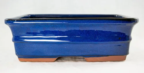 Vista 7 de Maceta rectangular para bonsái, cactus y suculentas, 10 x 8 x 3.25 pulgadas + bandeja + malla, esmaltada azul oscuro