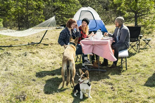 Vista 6 de Stansport Paquete combinado de manteles de picnic con abrazaderas