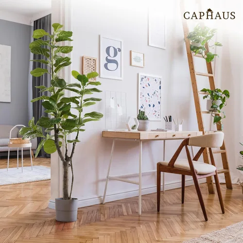Vista 8 de CAPHAUS Árbol de higuera artificial de hoja de violín, 6/7 pies en maceta con musgo seco, para casa, oficina, tienda, árbol sintético de ficus