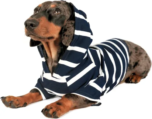Vista 10 de DJANGO Sudadera con capucha para perro, cálido, ligero, suave y elástico para perro, con capucha, orificio para arnés y cintura elástica, sudadera