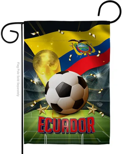 Vista 105 de Bandera del equipo de la Copa Mundial de la FIFA 2022 con bandera de Argentina para decoración del hogar al aire libre, arte de pared