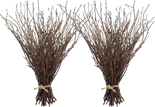 Vista 10 de Uieke 50 ramitas de abedul – Plantas secas naturales de 17 pulgadas, ramas de abedul decorativas para manualidades, palitos de abedul para jarrones