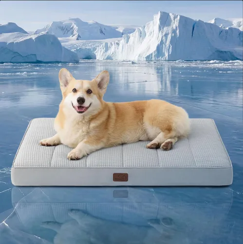 Vista 61 de Bedsure - Cama ortopédica pequeña para perros chicos, impermeable, con funda extraíble lavable, tapete de espuma con forma de huevera para mascotas