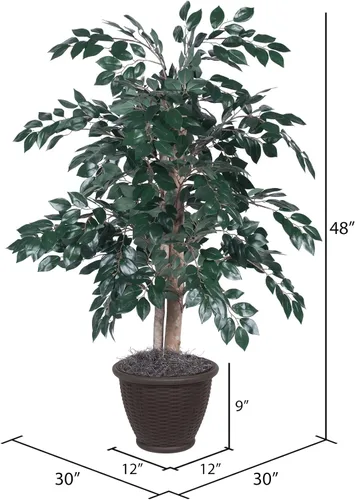 Vista 5 de Vickerman TBU0740 Arbusto Sakaki todos los días, verde oscuro, 4 pies
