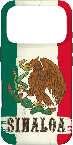 Vista 30 de Sinaloa Mexico Flag Sinaloa Case for iPhone 17