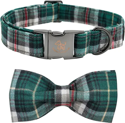 Vista 10 de Elegant little tail - Collar de otoño para mascotas con corbatín, lindo collar de Halloween con estampado de flores y calabaza para cachorros