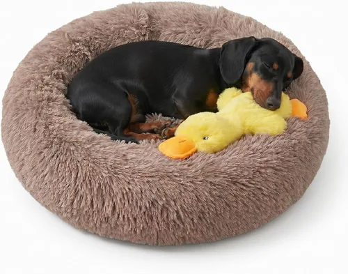 Vista 17 de Whiskers & Friends Cama para Gatos, Camas para Gatos de Interior Lavables, Cama Ortopédica Suave Esponjosa Redonda Calmante para Mascotas