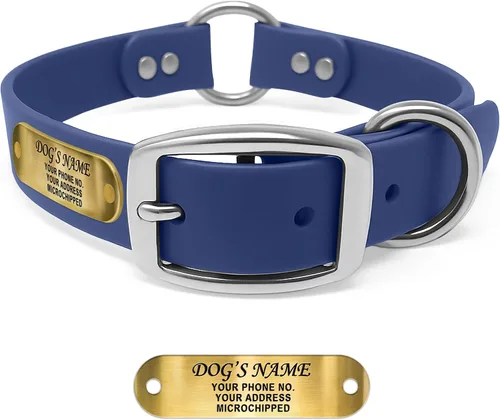 Vista 10 de Regal Dog Products Collar de Perro Naranja Mediano con Placa de Nombre Grabada Personalizada - Ajuste Personalizado, Resistente, Fácil de Limpiar