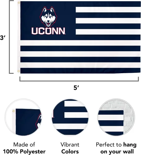 Vista 2 de Desert Cactus Bandera de la Universidad de Connecticut para interiores y exteriores, 100% poliéster, bandera universitaria, 3 x 5 pies Huskies