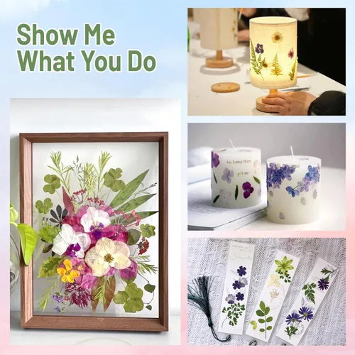 Vista 7 de Suziko Kit de prensa de flores grande para adultos y niños, 10.8 x 6.9 pulgadas, kit de preservación de plantas de flores, arte y manualidades