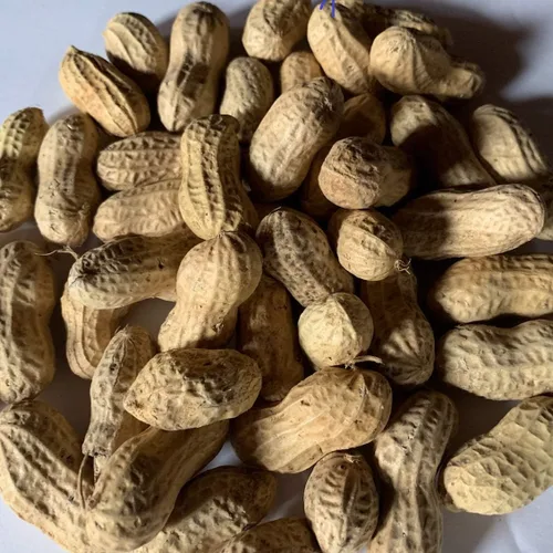 Vista 2 de Alimento para aves de maní (en la cáscara) (4 lb)