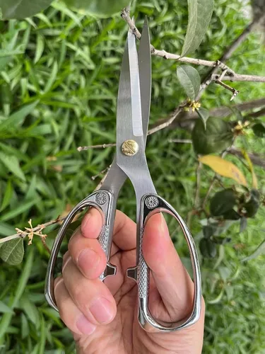Vista 5 de Tijeras para plantas de interior, tijeras para recortar brotes, Japón SK5 Tijeras florales de acero inoxidable, flores, hierbas y cortadores